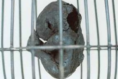 005. Detail of Embryos in 11 cages, 1996